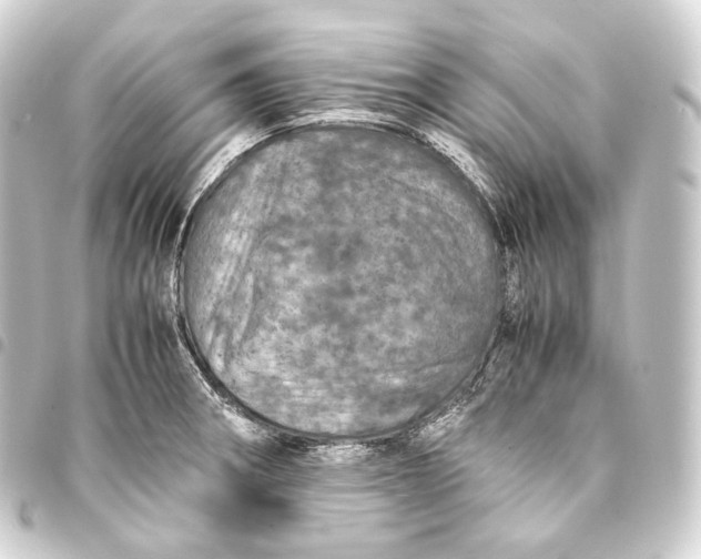 X0000093431282200711021027