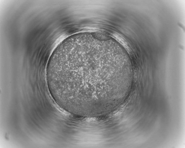 X0000093431283200711021026