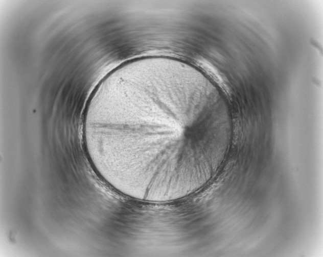 X0000093431284200711021026