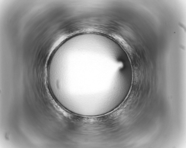 X0000093431286200711021026