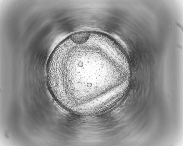 X0000093431287200711021026