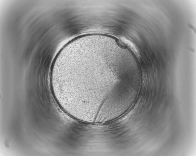 X0000093431288200711021026