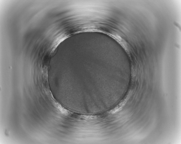 X0000093431289200711021026