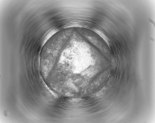 X0000093431290200711021026