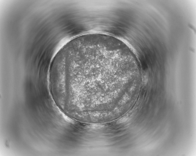 X0000093431294200711021026