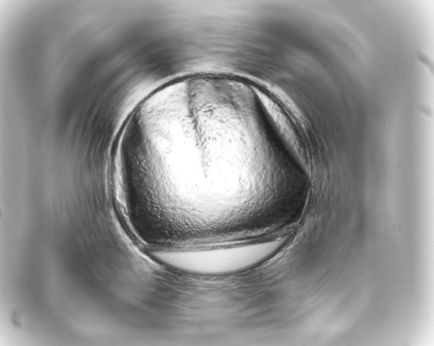 X0000093431295200711021026