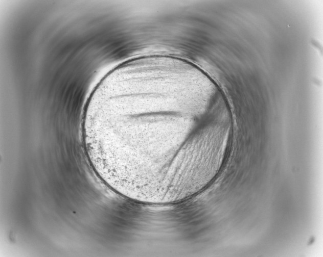 X0000093431296200711021026