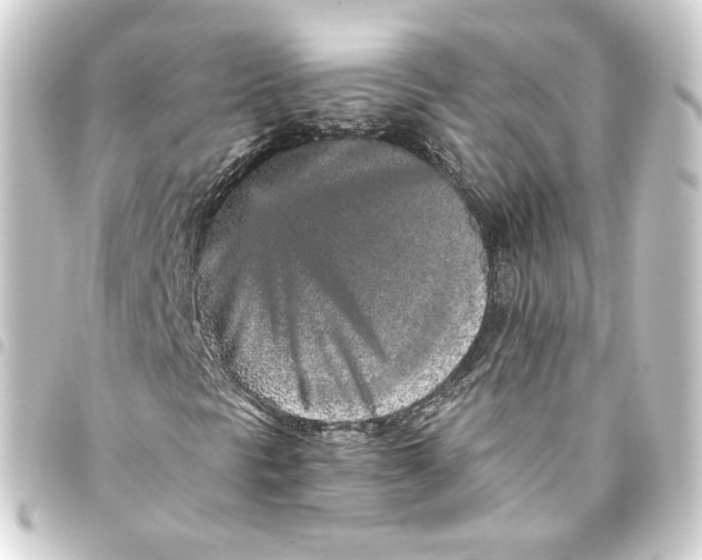 X0000093431297200711021026