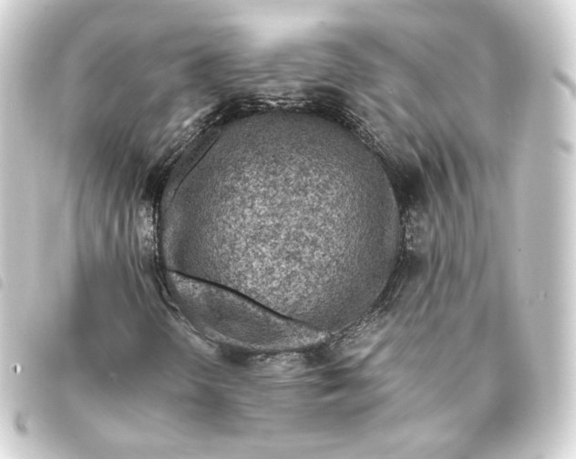 X0000093431298200711021026