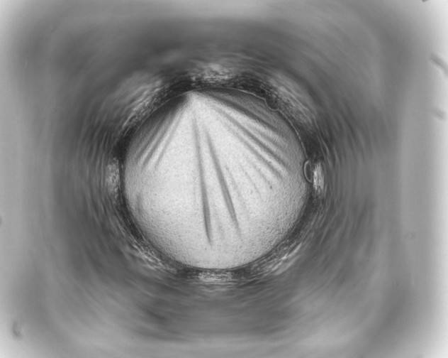 X0000093431299200711021026