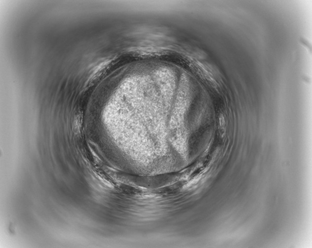 X0000093431300200711021026