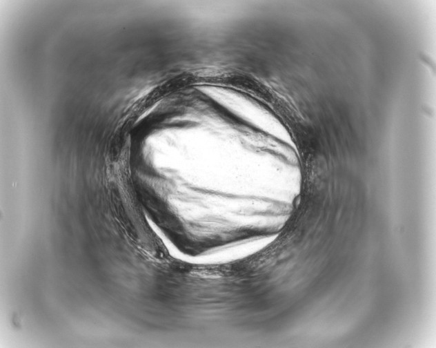 X0000093431301200711021026