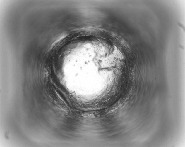 X0000093431302200711021026