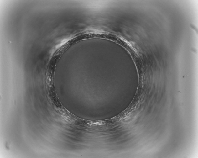 X0000093431303200711021026