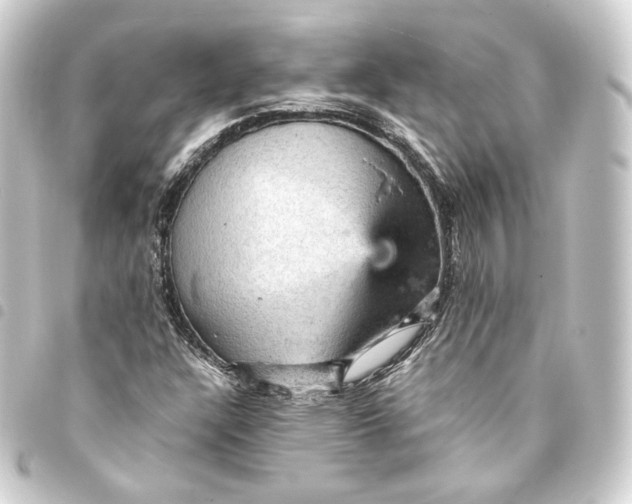 X0000093431304200711021026