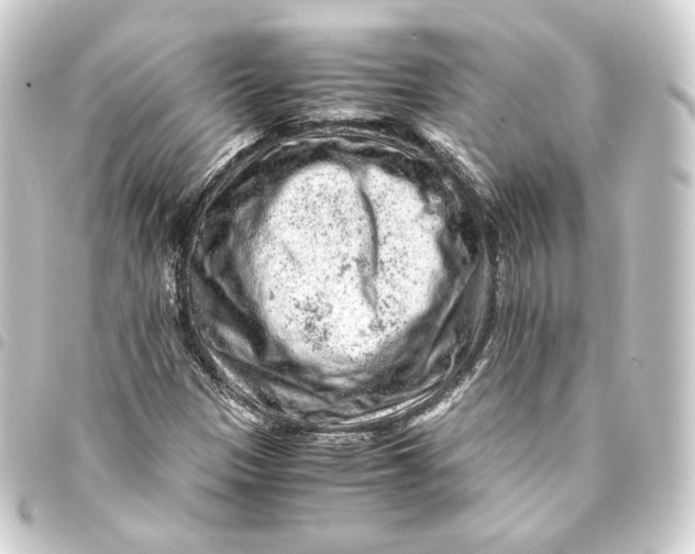 X0000093431305200711021026