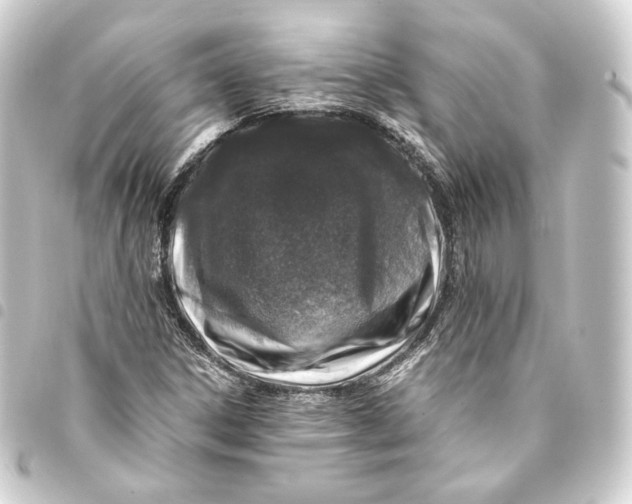 X0000093431306200711021026