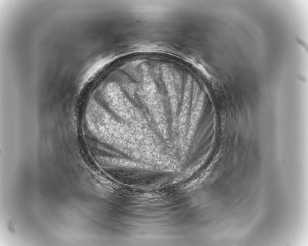 X0000093431311200711021026