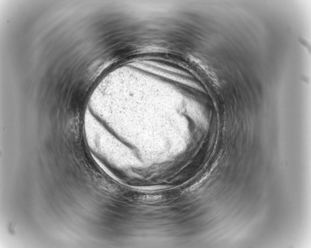 X0000093431313200711021026