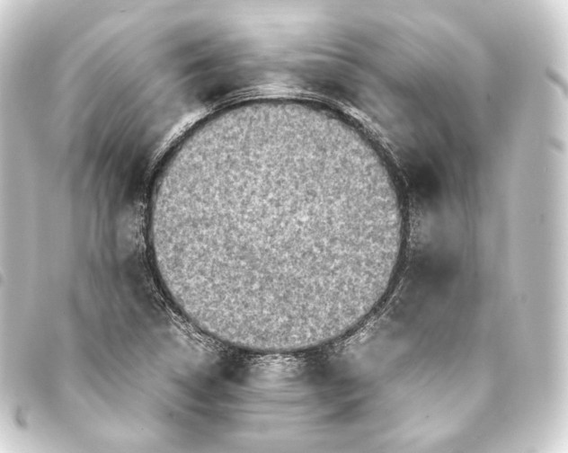 X0000093431314200711021026