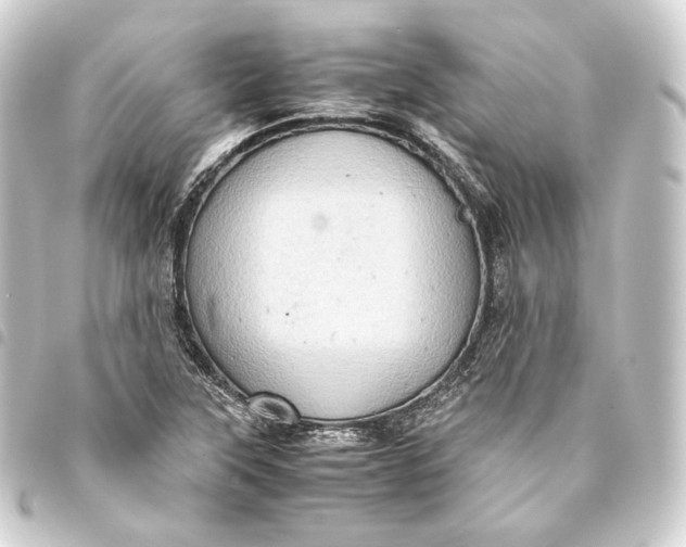 X0000093431315200711021026