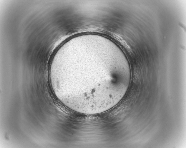 X0000093431316200711021026