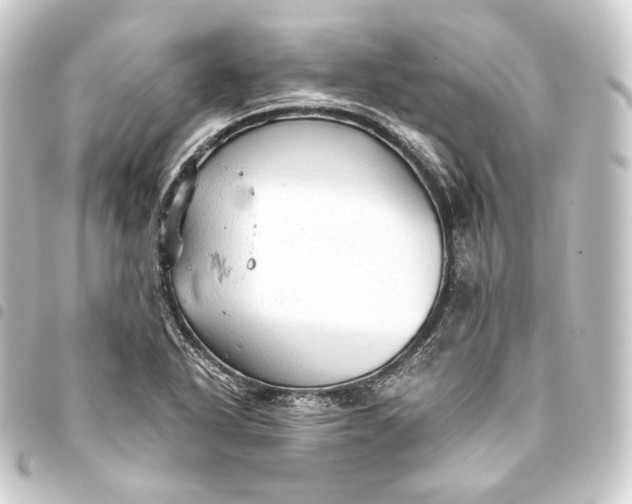 X0000093431318200711021026