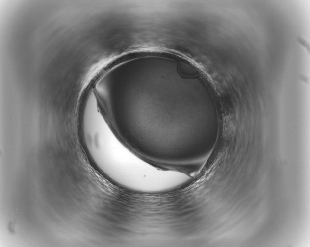 X0000093431319200711021026