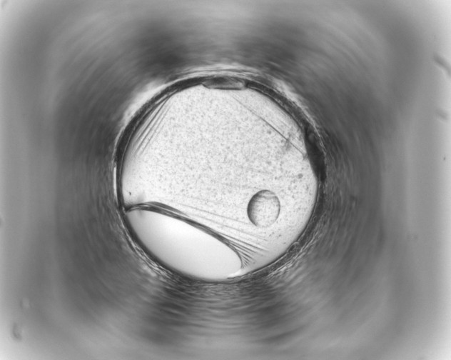 X0000093431320200711021026