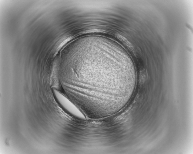 X0000093431321200711021026