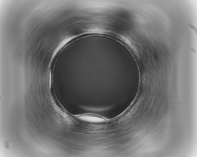 X0000093431323200711021026