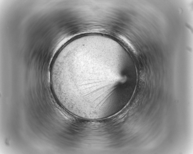 X0000093431324200711021026