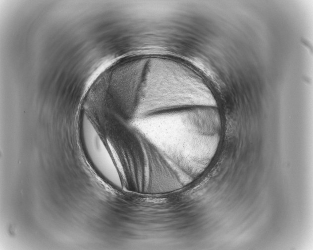 X0000093431325200711021026