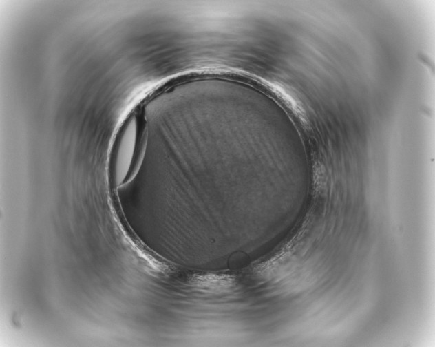 X0000093431327200711021026