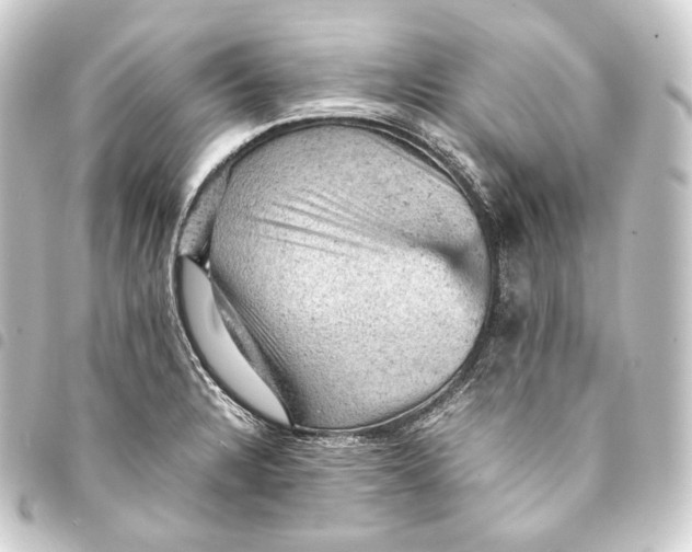 X0000093431328200711021026