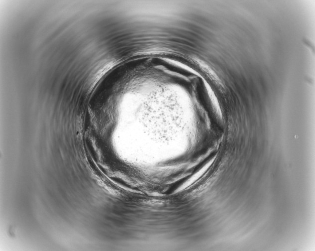 X0000093431329200711021026