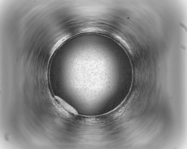 X0000093431330200711021026