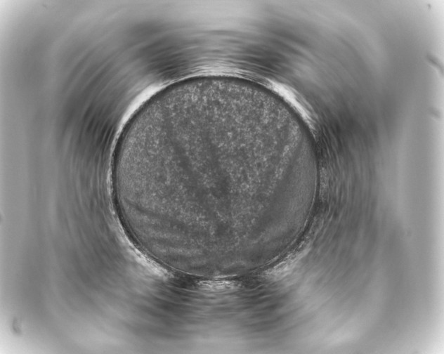 X0000093431331200711021026