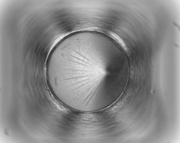 X0000093431332200711021026