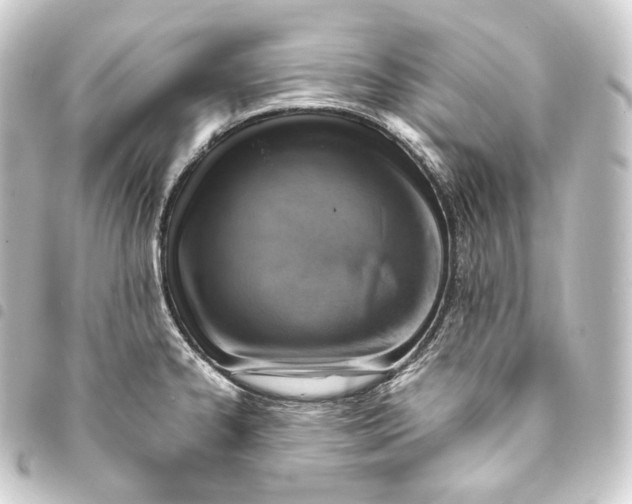 X0000093431334200711021026