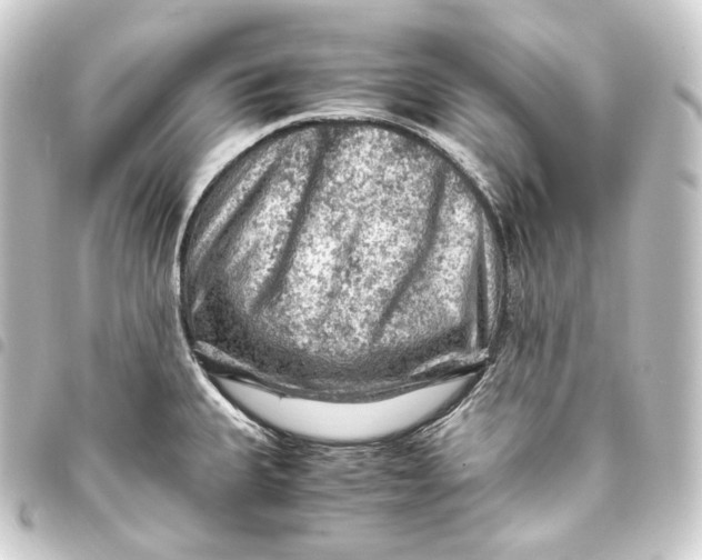 X0000093431335200711021026