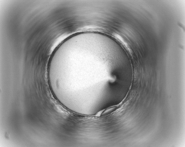 X0000093431336200711021026