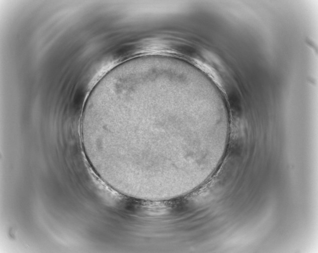 X0000093431338200711021026