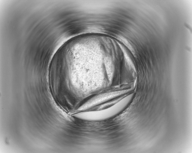 X0000093431339200711021026