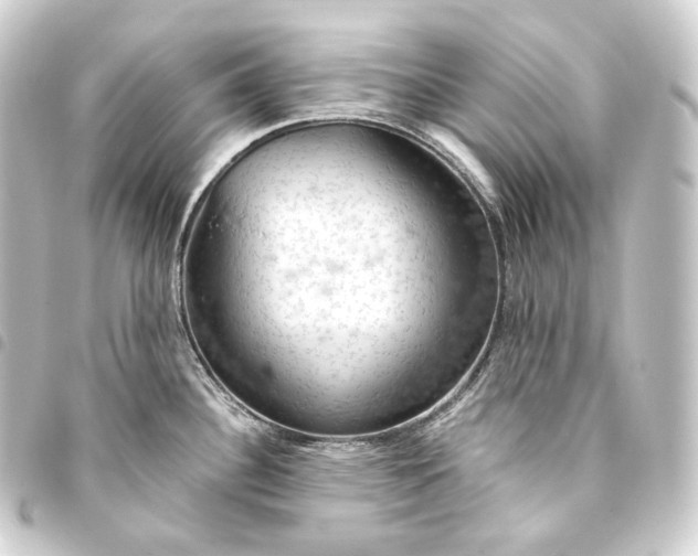 X0000093431340200711021026