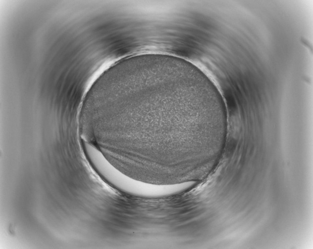 X0000093431341200711021026