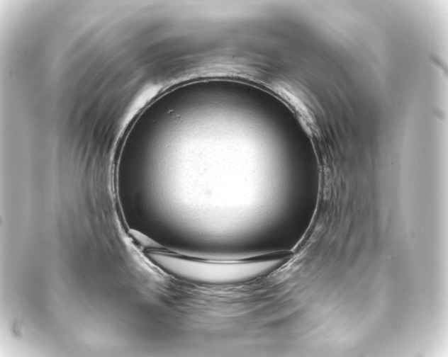 X0000093431342200711021026