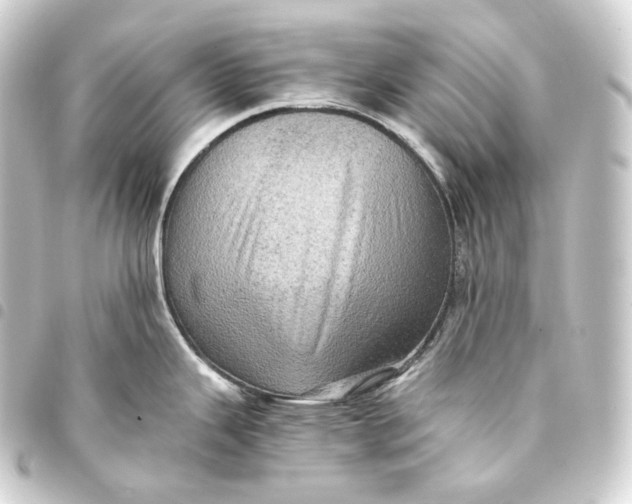 X0000093431343200711021026