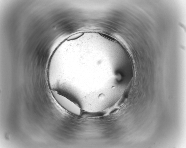 X0000093431344200711021026