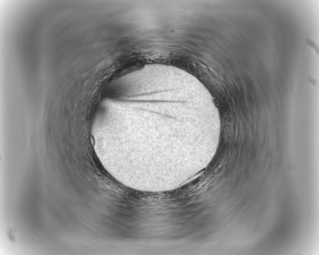 X0000093431345200711021026